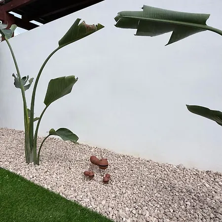 Lalola - Privado Appartement
